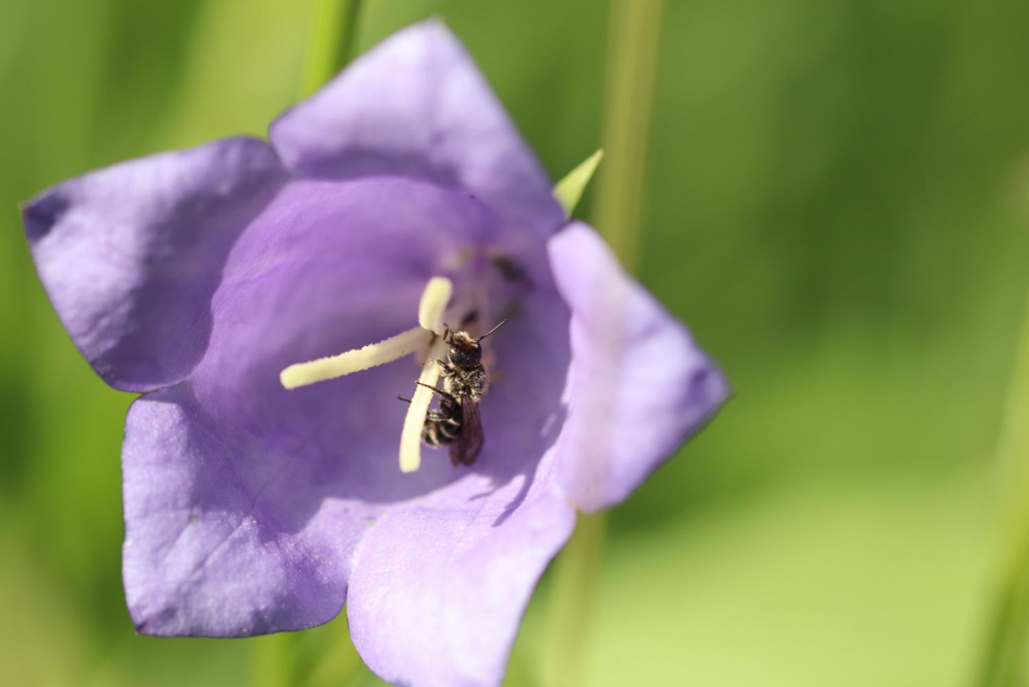 AUSSTELLUNG IM STEINHAGENER RATHAUS